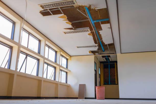 Best Water damage restoration specialists  in St Francis, WI