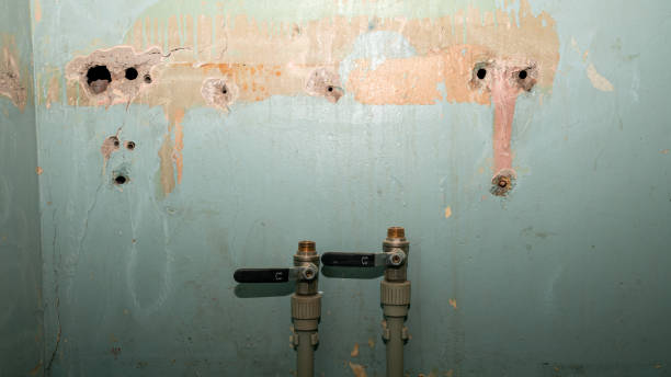 Best Residential water damage restoration  in St Francis, WI